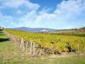 Villa Castiglion Fiorentino Grabación al aire libre 1