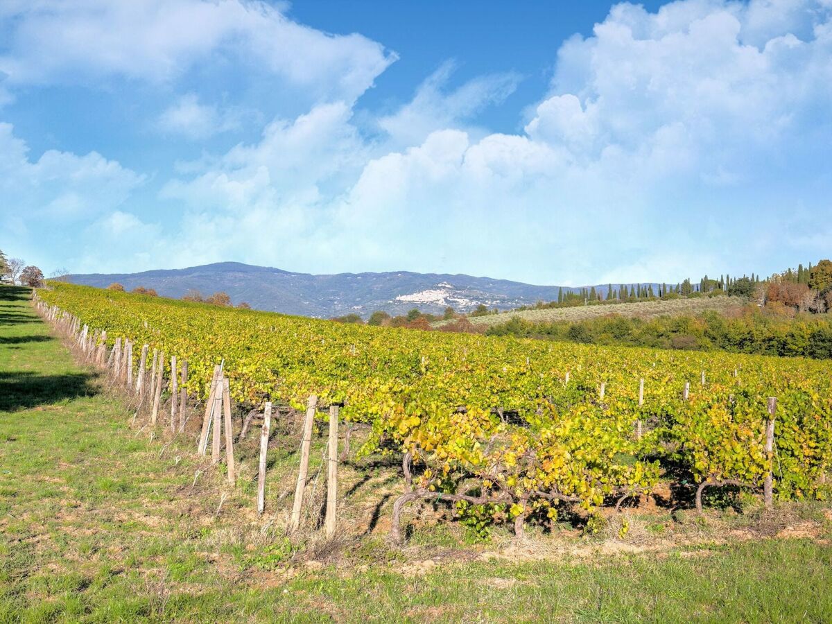 Villa Castiglion Fiorentino Grabación al aire libre 1