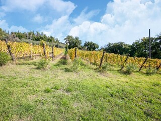 Villa Castiglion Fiorentino Outdoor Recording 3