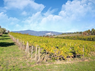 Villa Castiglion Fiorentino Außenaufnahme 6