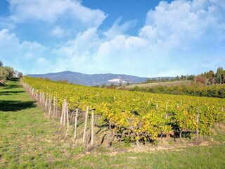 Villa Castiglion Fiorentino Outdoor Recording 11