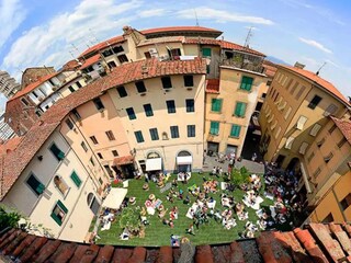 Maison de vacances Cortona Environnement 31