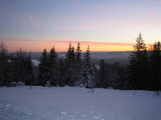 Apartment Furtwangen Environment 23