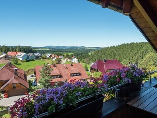 Apartment Furtwangen Außenaufnahme 3