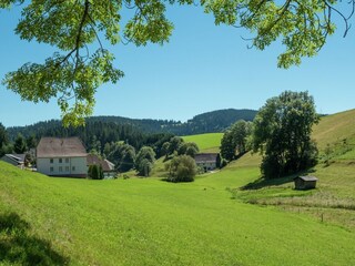 Apartment Furtwangen Outdoor Recording 9