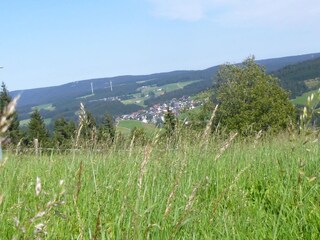 Apartamento Furtwangen  40