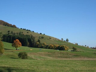 Appartement Furtwangen Environnement 23
