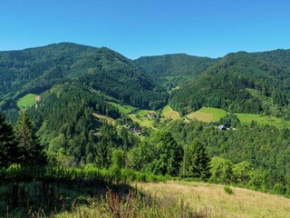 Apartamento Furtwangen Entorno 28