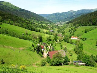 Apartamento Furtwangen Entorno 33