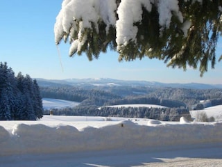 Apartamento Furtwangen Entorno 36