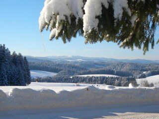 Apartment Furtwangen Umgebung 23
