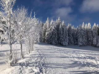 Apartamento Furtwangen Entorno 37