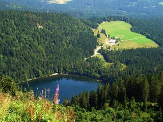 Apartamento Furtwangen Entorno 23
