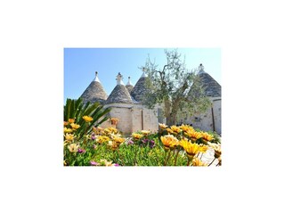 Vakantiepark Cisternino Buitenaudio-opname 14