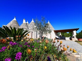 Casa per le vacanze Cisternino Caratteristiche 48