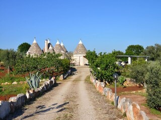 Holiday house Cisternino Outdoor Recording 15