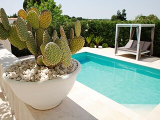 Holiday house Fasano Outdoor Recording 1