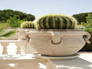 Maison de vacances Fasano Enregistrement extérieur 4