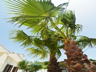 Vakantiehuis Fasano Buitenaudio-opname 19