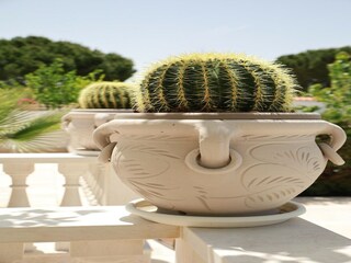 Ferienhaus Fasano Außenaufnahme 29