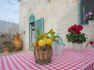 Holiday house Locorotondo Outdoor Recording 3