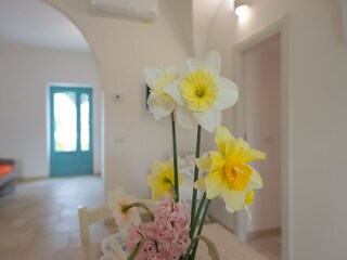 Holiday house Locorotondo  48
