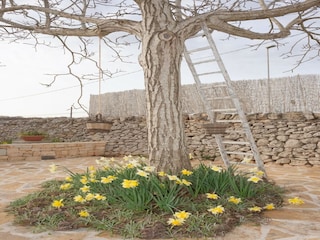 Maison de vacances Locorotondo Enregistrement extérieur 9