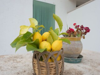 Casa de vacaciones Locorotondo Grabación al aire libre 9