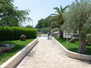 Holiday house Cisternino Outdoor Recording 11