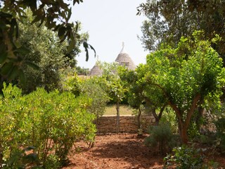 Holiday house Cisternino Outdoor Recording 18