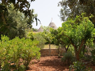 Maison de vacances Cisternino Enregistrement extérieur 18