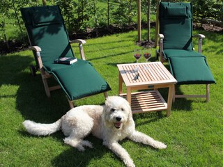 Appartamento per vacanze Greetsiel Registrazione all'aperto 5