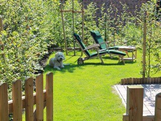 Appartamento per vacanze Greetsiel Registrazione all'aperto 6