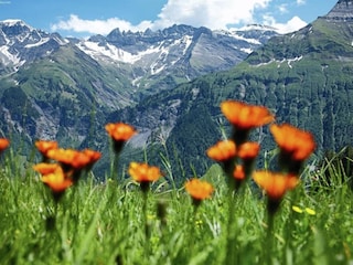 Chalet La Tzoumaz Environment 26