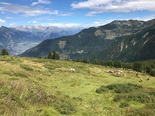 Chalet La Tzoumaz Environment 36