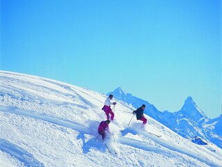 Chalet La Tzoumaz Environnement 33