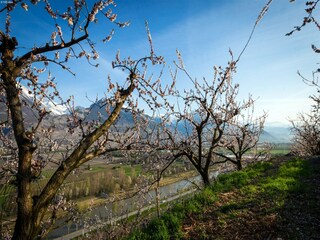 Chalet La Tzoumaz Environnement 34