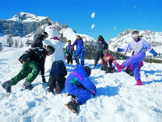 Chalet La Tzoumaz Environnement 42