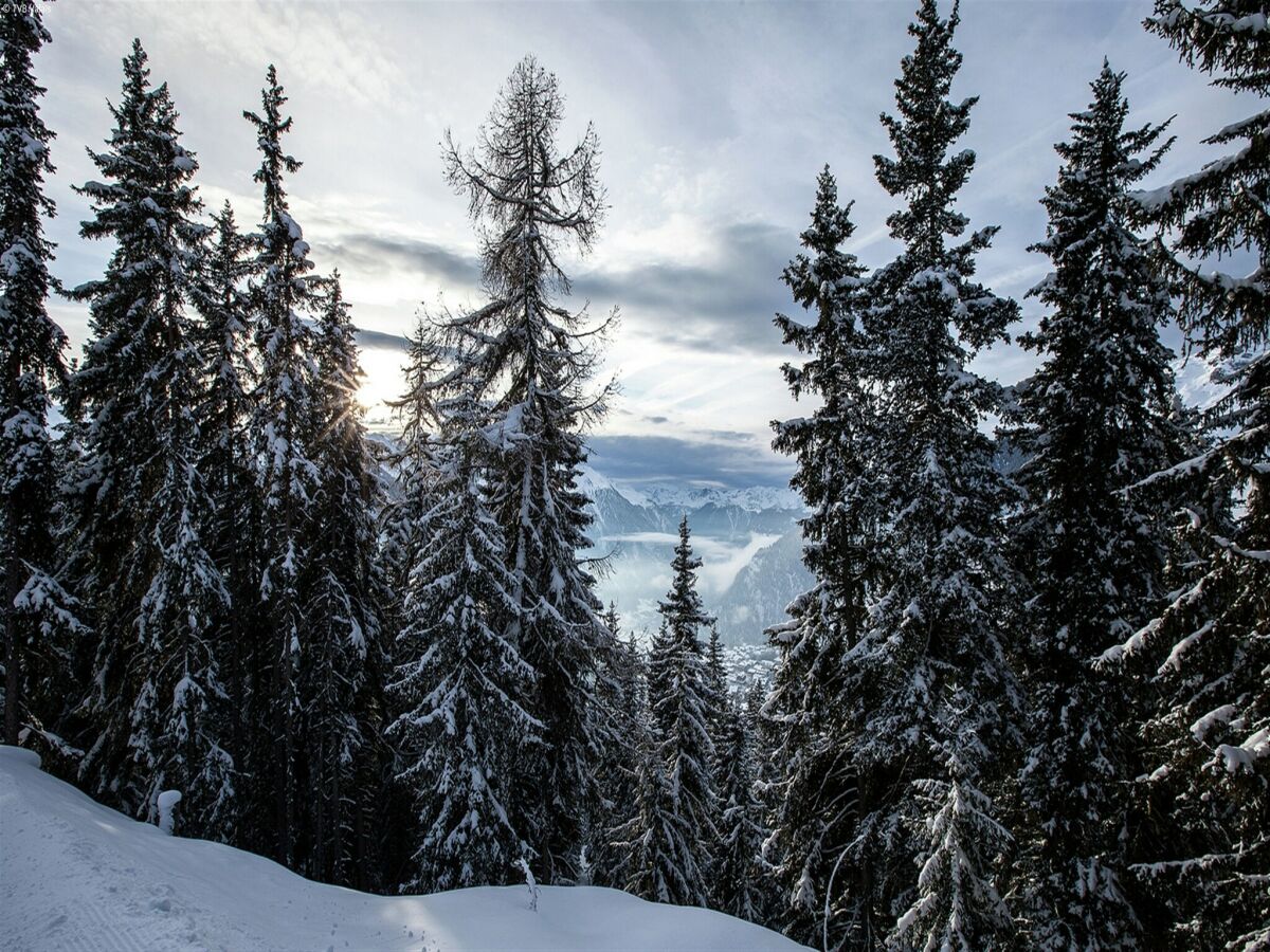 Chalet La Tzoumaz Umgebung 22