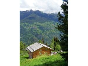 Chalet mit umwerfendem Bergblick und Jacuzzi in Les Collons - Les Masses - image1