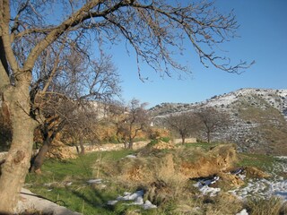 Ferienpark Laroya Umgebung 33