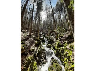Wanderweg Feldbergsteig