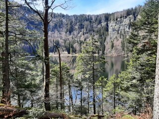 Feldsee unterhalb des Feldbergs