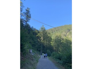 Black Forest Highline.de