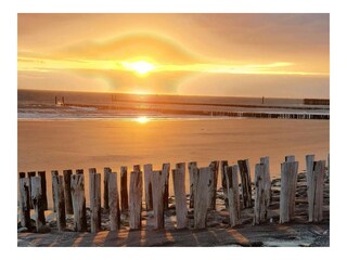 Holiday house Westkapelle Environment 16