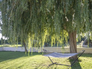 Villa Eyragues Environment 31