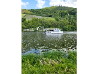 Ferienwohnung Bernkastel-Kues Umgebung 18