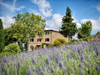 Appartamento Panzano Registrazione all'aperto 6