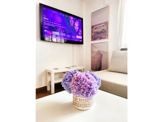 Apartment Collina d’Oro Features 8