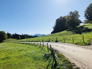 wenige Meter von der Ferienwohnung entfernt